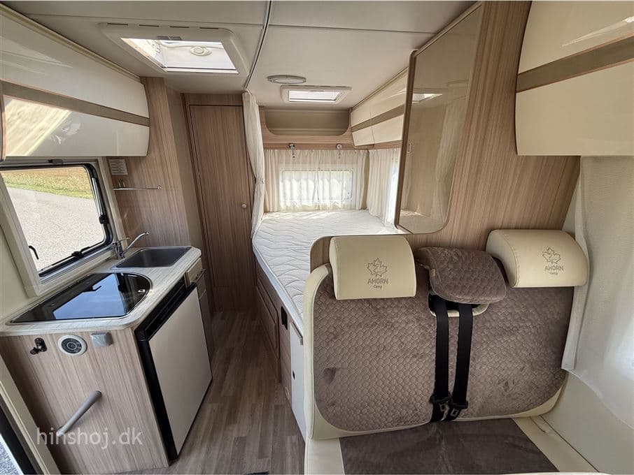 Ahorn Camp 590 T - miniature 1